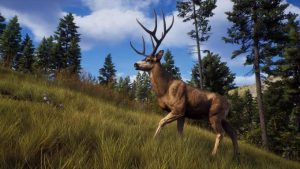 Way of the Hunter full crack